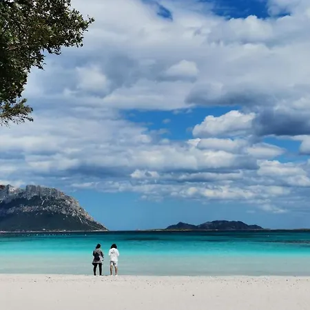 Vacanze Da Sogno A Pochi Km. Da Olbia Porto Istana