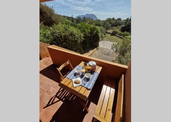 Vacanze Da Sogno A Pochi Km. Da Olbia