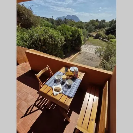 Vacanze Da Sogno A Pochi Km. Da Olbia