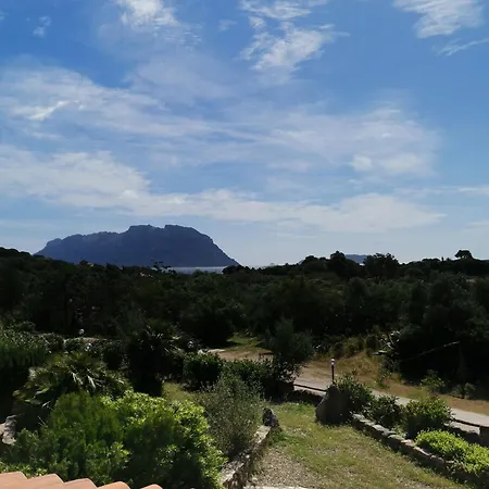 Vacanze Da Sogno A Pochi Km. Da Olbia *