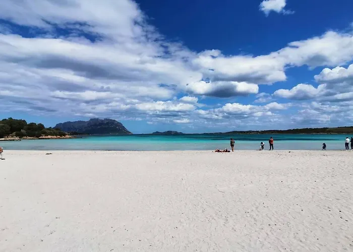 Vacanze Da Sogno A Pochi Km. Da Olbia