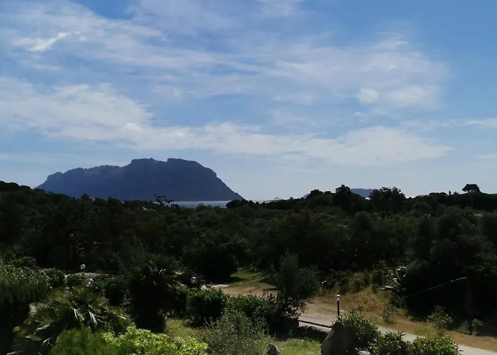 Vacanze Da Sogno A Pochi Km. Da Olbia *